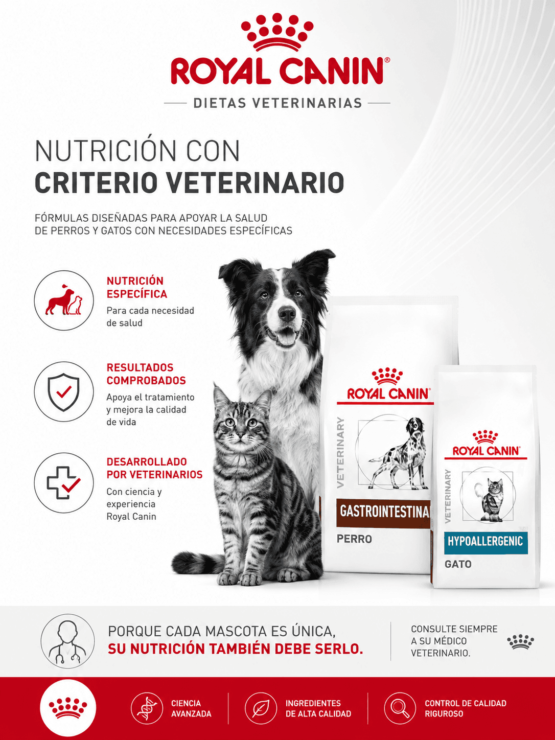 Gato y perro con pienso Royal Canin