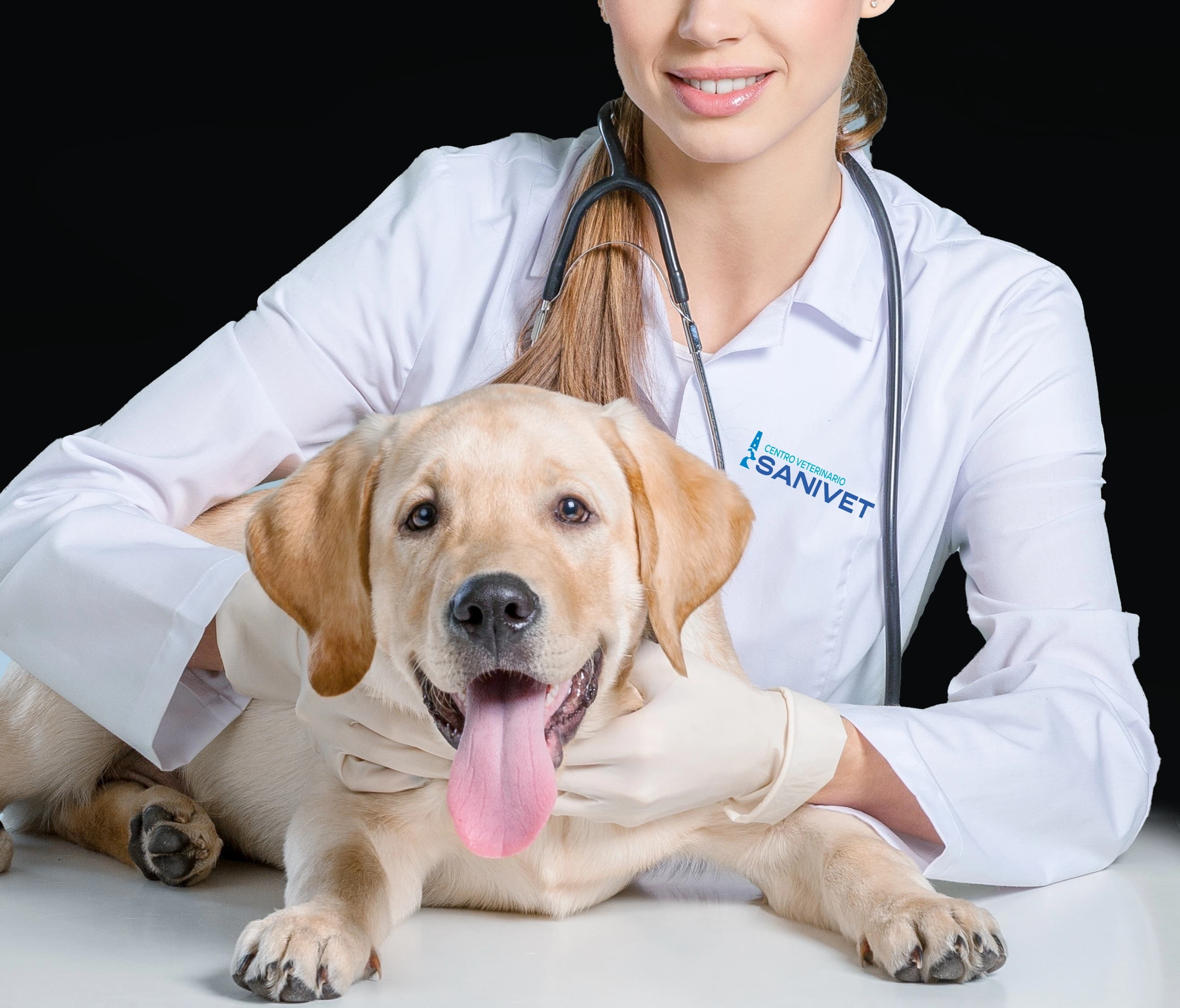 Veterinaria de Sanivet revisando a un perro