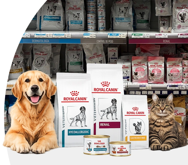 Royal Canin — Nutrición veterinaria para perros y gatos — Sanivet Adra