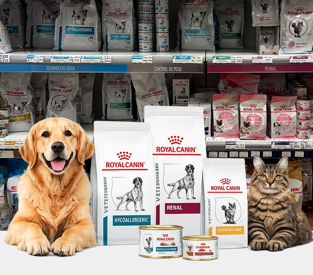 Royal Canin — Nutrición veterinaria para perros y gatos — Sanivet Adra